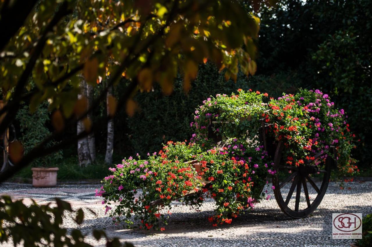 San Giacomo Horses & Agriturismo Arluno Exterior foto